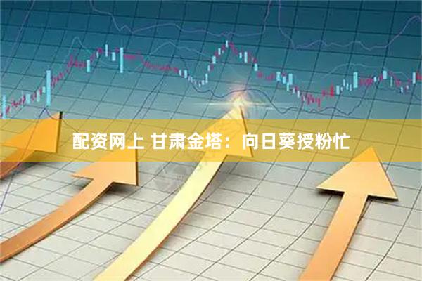 配资网上 甘肃金塔：向日葵授粉忙